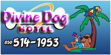 Divine Dog Hotel – Tallahassee – Havana – Capital Area Dog Hotel Logo