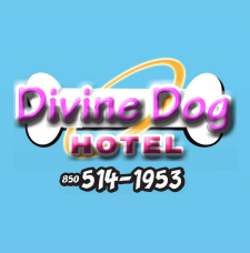 Divine Dog Hotel – Tallahassee – Havana – Capital Area Dog Hotel Logo